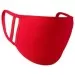 2 Layer Face Covering - Mask PR799