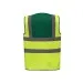 Yellow & Green Rear