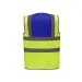 Yellow & Royal Blue Rear
